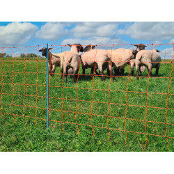 OviNet Premium AKO Orange OviNet Premium AKO Orange