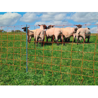 OviNet Premium AKO Orange OviNet Premium AKO Orange