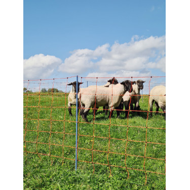 OviNet Premium AKO Orange OviNet Premium AKO Orange