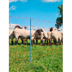 OviNet Premium AKO Orange OviNet Premium AKO Orange