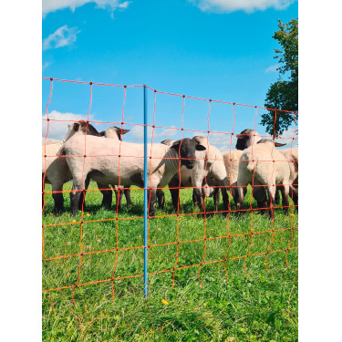 OviNet Premium AKO Orange OviNet Premium AKO Orange