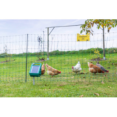 Piquet PVC Premium AKO Vert