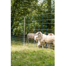 TitanNet 145 AKO Bleu / blanc TitanNet 145 AKO Bleu / blanc