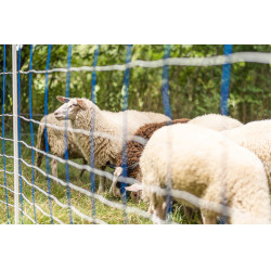 TitanNet 145 AKO Bleu / blanc TitanNet 145 AKO Bleu / blanc