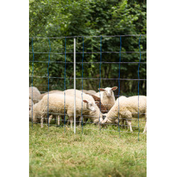 TitanNet 145 AKO Bleu / blanc TitanNet 145 AKO Bleu / blanc