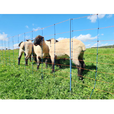 TitanNet Premium AKO Bleu / orange TitanNet Premium AKO Bleu / orange