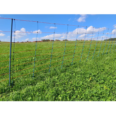 TitanNet Premium AKO Bleu / orange TitanNet Premium AKO Bleu / orange