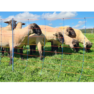 TitanNet Premium AKO Bleu / orange TitanNet Premium AKO Bleu / orange