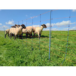 TitanNet Premium AKO Bleu / orange TitanNet Premium AKO Bleu / orange