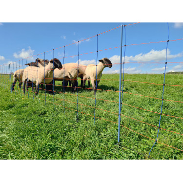 TitanNet Premium AKO Bleu / orange TitanNet Premium AKO Bleu / orange