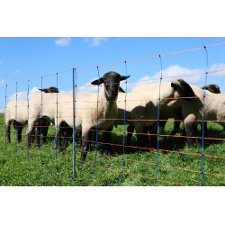 TitanNet Premium AKO Bleu / orange TitanNet Premium AKO Bleu / orange