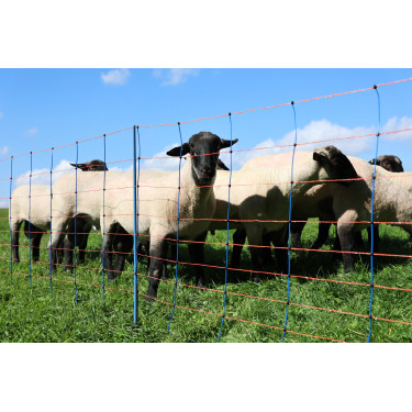 TitanNet Premium AKO Bleu / orange TitanNet Premium AKO Bleu / orange