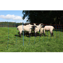 TitanNet Premium AKO Bleu / orange TitanNet Premium AKO Bleu / orange