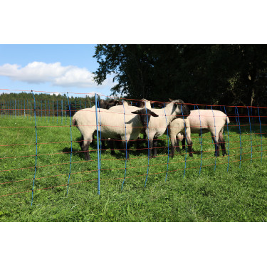 TitanNet Premium AKO Bleu / orange TitanNet Premium AKO Bleu / orange