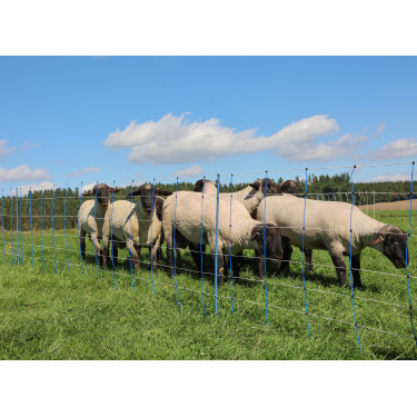 TitanNet Premium Plus AKO Bleu / blanc