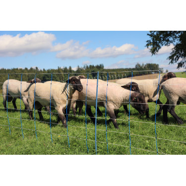 TitanNet Premium Plus AKO Bleu / blanc