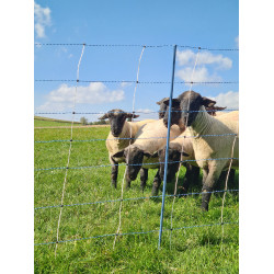 TitanNet Premium Vario AKO Blanc / bleu TitanNet Premium Vario AKO Blanc / bleu