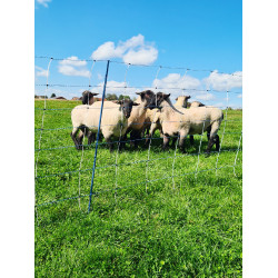 TitanNet Premium Vario AKO Blanc / bleu TitanNet Premium Vario AKO Blanc / bleu