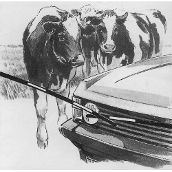 Barre de rechange Electro Gate AKO Noir Barre de rechange Electro Gate AKO Noir