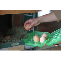 Boîte de transport pour œufs Kerbl Hobbyfarming Vert transparent Boîte de transport pour œufs Kerbl Hobbyfarming Vert transparent