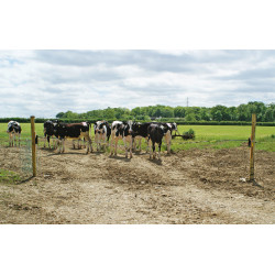 Charnière de rechange Electro Gate Kerbl Noir / jaune