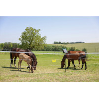 Cordelette de clôture PlatinumLine AKO Blanc / bleu