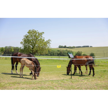 Cordelette de clôture PlatinumLine AKO Blanc / bleu