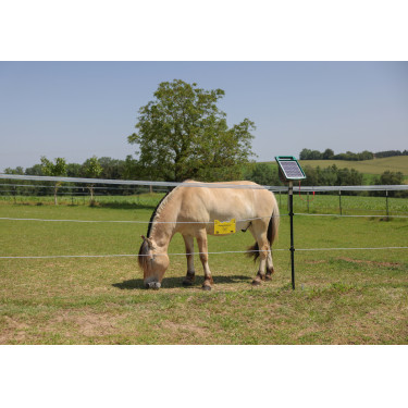 Cordelette de clôture PlatinumLine AKO Blanc / bleu