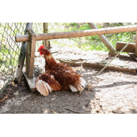 Crochet Kerbl Hobbyfarming Crochet Kerbl Hobbyfarming