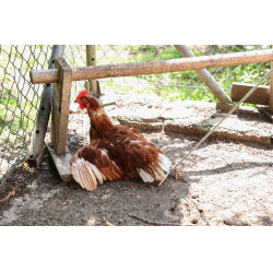 Crochet Kerbl Hobbyfarming