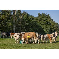 Duo Power Xi 8000 smart AKO Vert Duo Power Xi 8000 smart AKO Vert