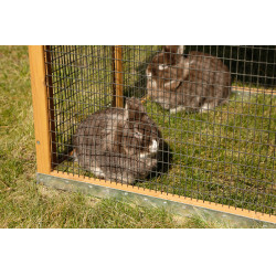 Enclos Appartement Pro Kerbl Hobbyfarming