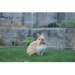 Enclos d’extérieur Kerbl Hobbyfarming