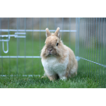 Enclos d’extérieur Kerbl Hobbyfarming