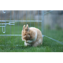 Enclos d’extérieur Kerbl Hobbyfarming