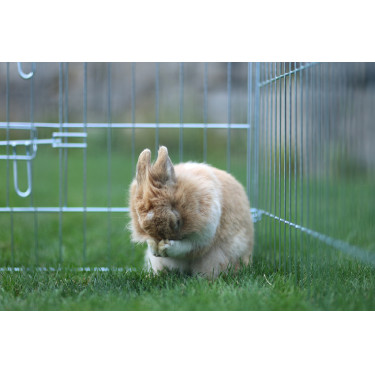 Enclos d’extérieur Kerbl Hobbyfarming