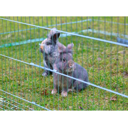 Extension d’enclos avec dispositif anti-fugue Kerbl Hobbyfarming