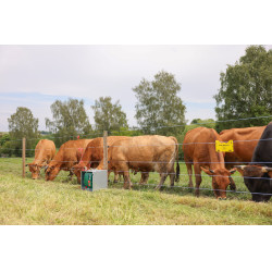 Fil de clôture PlatinumLine AKO Blanc / bleu Fil de clôture PlatinumLine AKO Blanc / bleu