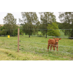 Fil de clôture PlatinumLine AKO Blanc / bleu Fil de clôture PlatinumLine AKO Blanc / bleu