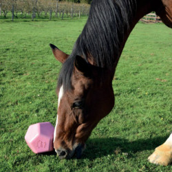 Jouet Drop Feeder La Gee Jouet Drop Feeder La Gee