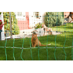 Filet anti-chats AKO Vert