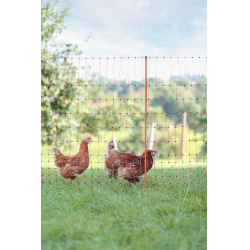 Filet volaille AKO Orange