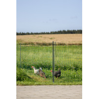 Filet volaille Premium AKO Vert