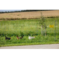 Filet volaille Premium AKO Vert