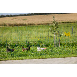 Filet volaille Premium AKO Vert Filet volaille Premium AKO Vert