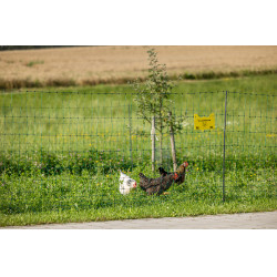 Filet volaille Premium AKO Vert Filet volaille Premium AKO Vert