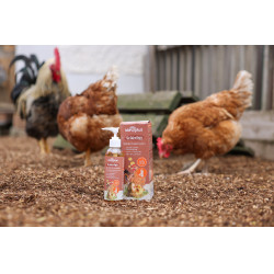 GoldenEgg Kerbl Hobbyfarming