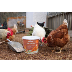 Mineral Grit Mix Kerbl Hobbyfarming Mineral Grit Mix Kerbl Hobbyfarming