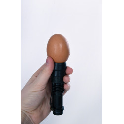 Mire-œufs LED Kerbl Hobbyfarming Noir