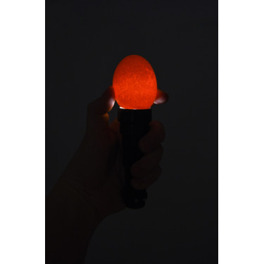 Mire-œufs LED Kerbl Hobbyfarming Mire-œufs LED Kerbl Hobbyfarming